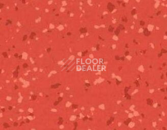 Линолеум Taralay Premium Brazilia 4136 Sao Luis фото 1 | FLOORDEALER